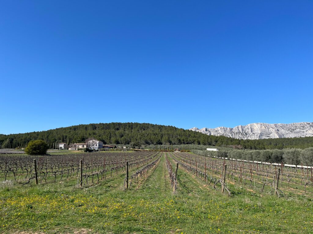 Domaine des Masques wijnen